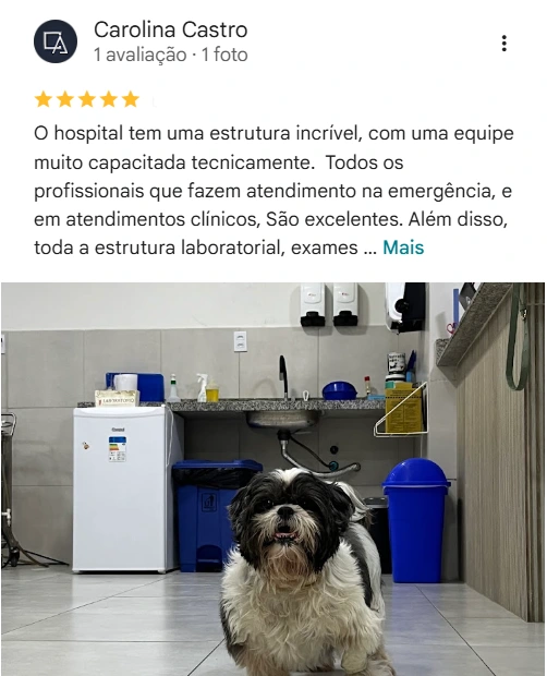 Avaliação real de tutor no Google