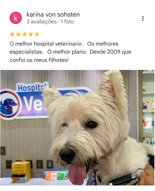 Avaliação real de tutor no Google