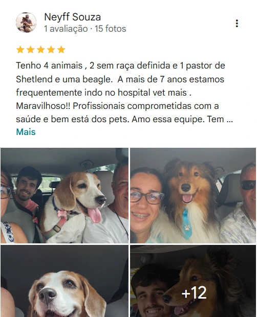 Avaliação real de tutor no Google