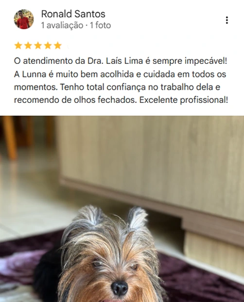 Avaliação real de tutor no Google